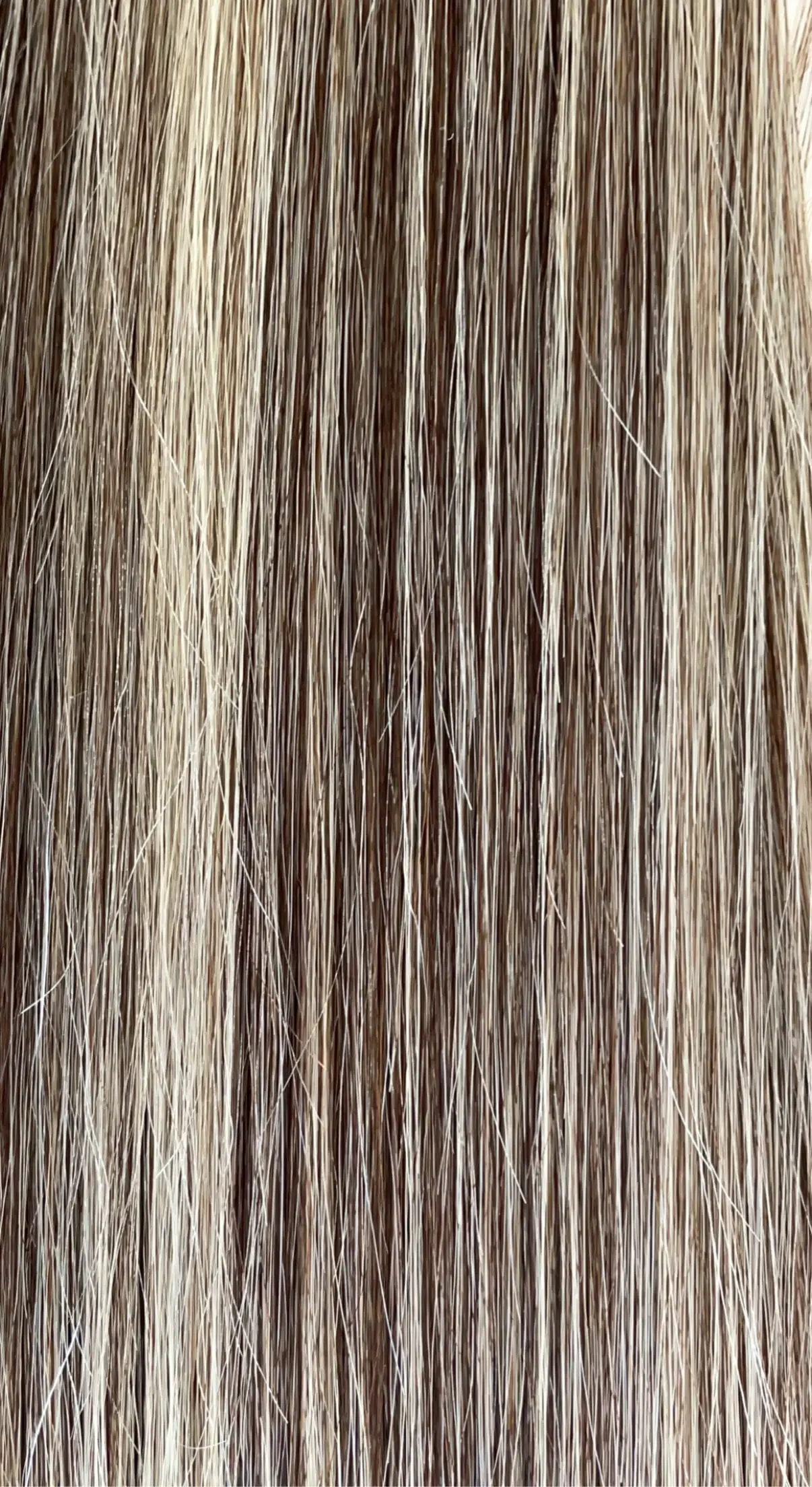 2/22 Brun foncé / Méché brun fonce & blond clair