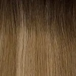 T2 12/24 - Effet repousse brun foncé / Méché blond clair & blond doré