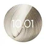 10.01 - Blond Platine Naturel Cendré