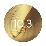 10.3 - Blond Platine Doré
