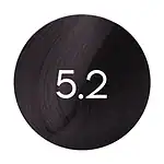 5.2 - Chatain Clair Violet