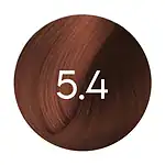 5.4 - Chatain Clair Cuivré